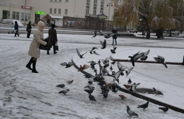 Волинь готова до снігопадів, - ОДА. ФОТО