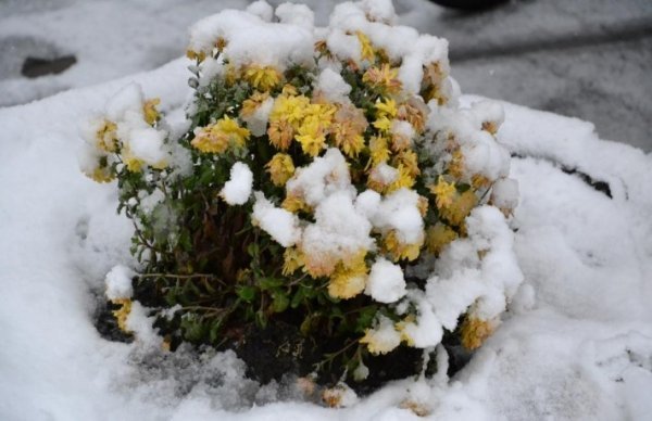 Волинь готова до снігопадів, - ОДА. ФОТО