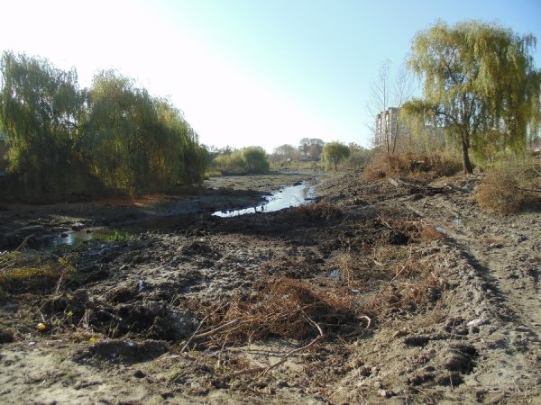 Лучанин «дякує» чиновникам за «красу» біля Сапалаївки. ФОТО