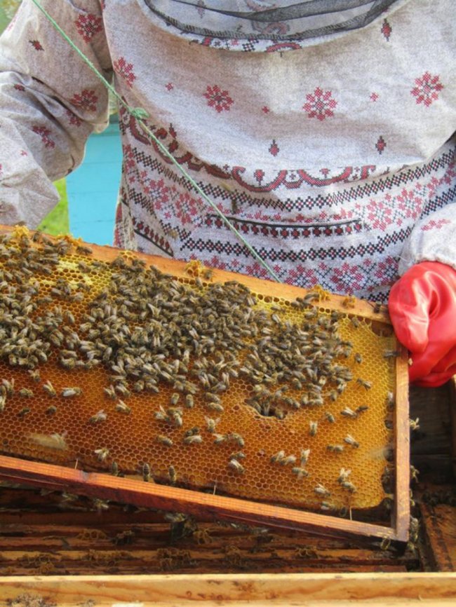 Волинський священик похвалився своєю пасікою. ФОТО