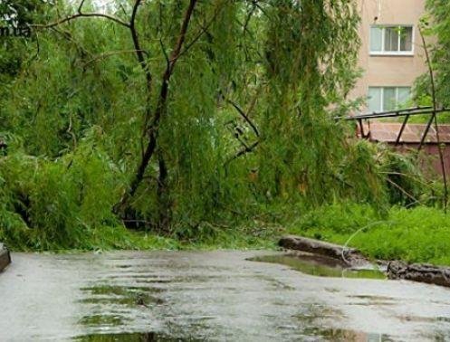 Ураган в Луганську. ФОТО. ВІДЕО