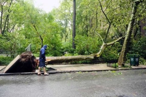 Ураган в Луганську. ФОТО. ВІДЕО