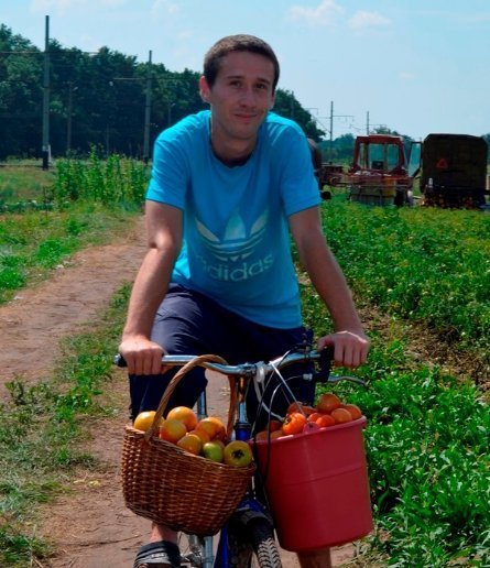 Під Луцьком помідори продають просто з поля. ФОТО