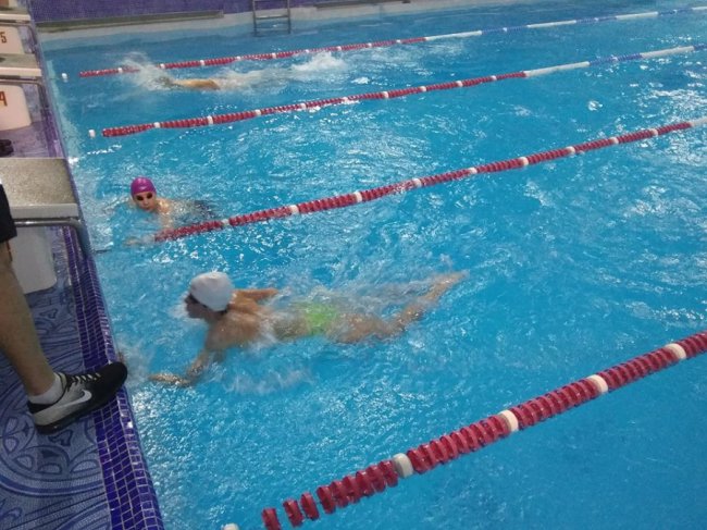 У Луцьку визначили кращих юних плавців області. ФОТО
