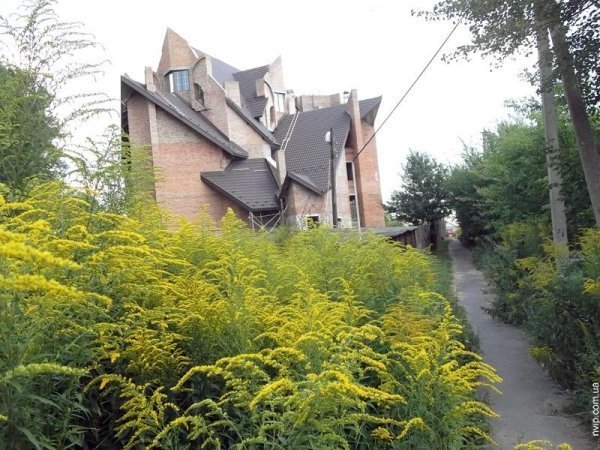 Нововолинський парк перетворився на хащі. ФОТО