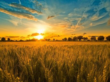 Погода в Луцьку та Волинській області на вівторок, 5 червня