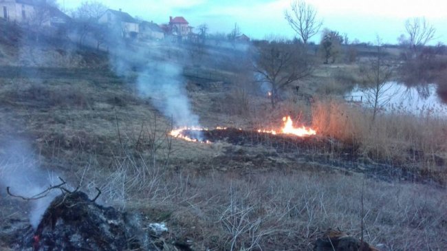 На Волині «на гарячому» спіймали  двох паліїв 