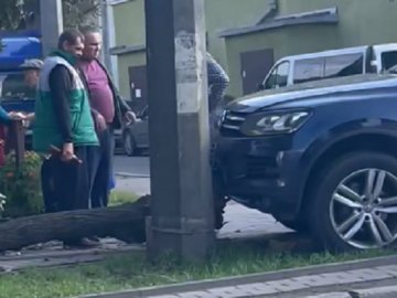 У Луцьку Touareg зніс дерево: за кермом був заступник начальника судової охорони 