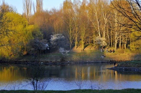 Луцьк цвіте та пахне. ФОТО