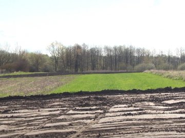 Під Луцьком засіяні городи селян зрівняли із землею під забудову. ВІДЕО