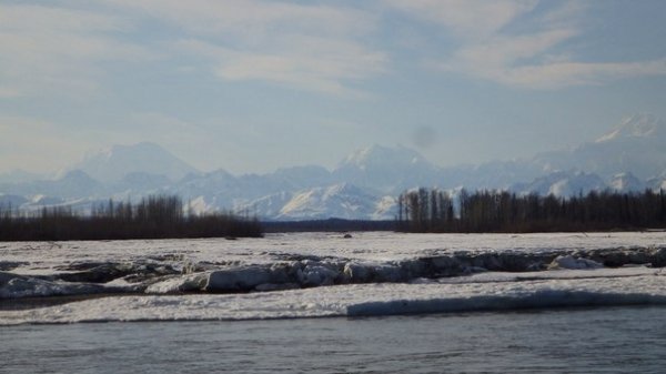Волиняни підкорили найвищу гору Північної Америки – Мак-Кінлі. ФОТО 