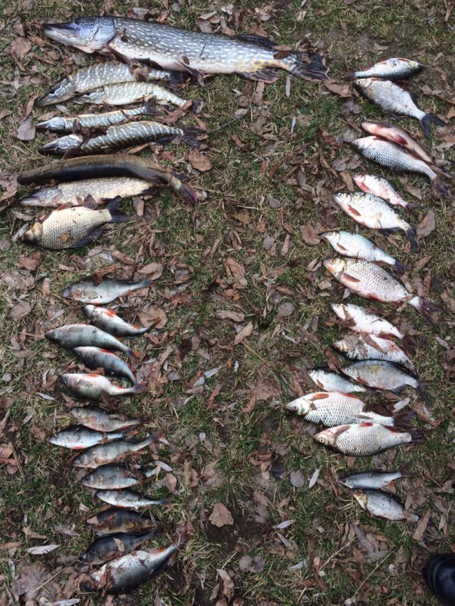 На Волині затримали рибалок-браконьєрів