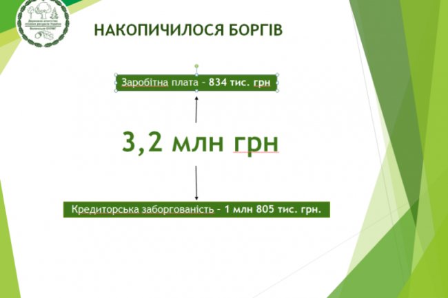 Повернення лісів у комунальну власність: кому це вигідно