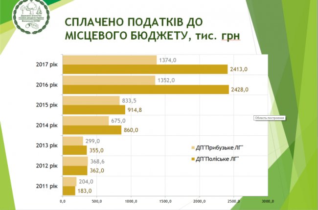 Повернення лісів у комунальну власність: кому це вигідно