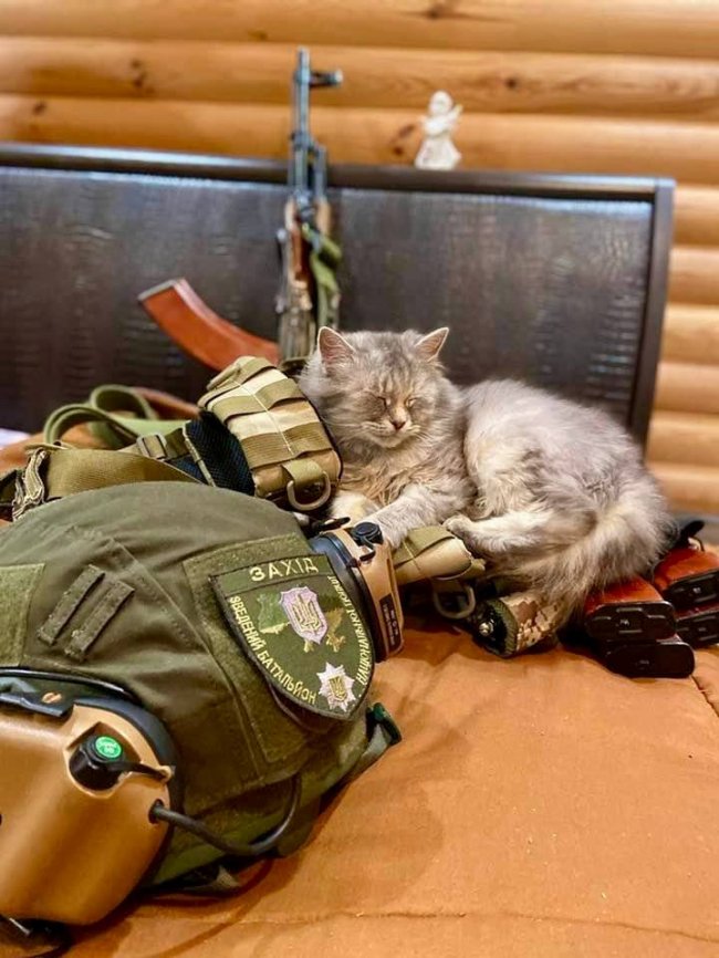 Пухнасті побратими. Чотирилапі підопічні волинських добровольців на фронті