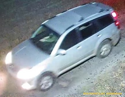 Біля Луцька невідомі на джипі розстріляли сплячого собаку. ФОТО. ВІДЕО