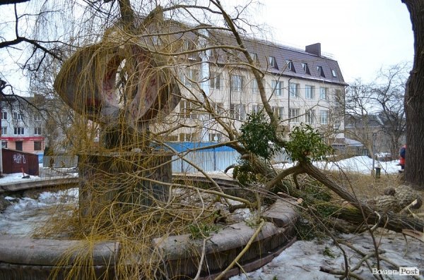 У луцькому «парку Горького» зрізують найстаріші дерева. ФОТО