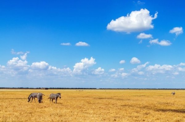 Неймовірна природа — гордість нашої країни. ФОТО
