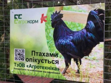 Птахи луцького зоопарку матимуть нових опікунів і 250 кг вітамінного корму щомісяця.ФОТО