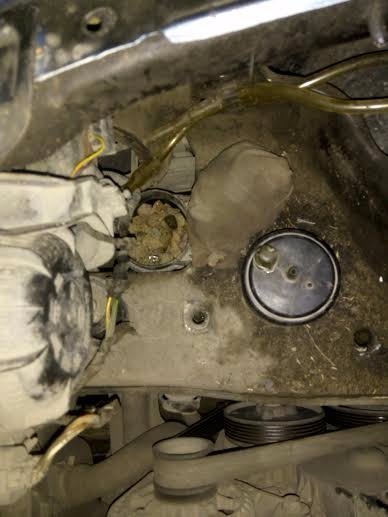 Мешканець Любомля намагався перевезти через «Ягодин» більше 4 кілограмів бурштину. ФОТО