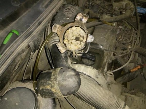 Мешканець Любомля намагався перевезти через «Ягодин» більше 4 кілограмів бурштину. ФОТО