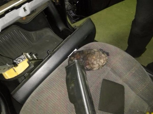 Мешканець Любомля намагався перевезти через «Ягодин» більше 4 кілограмів бурштину. ФОТО