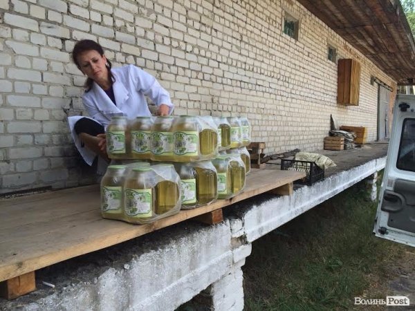 Волинські лісівники передали в зону АТО березовий сік. ФОТО