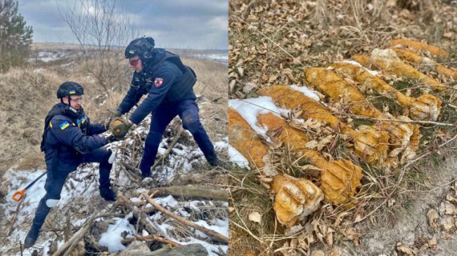 Волиняни біля поля знайшли 8 мінометних мін часів Другої світової війни