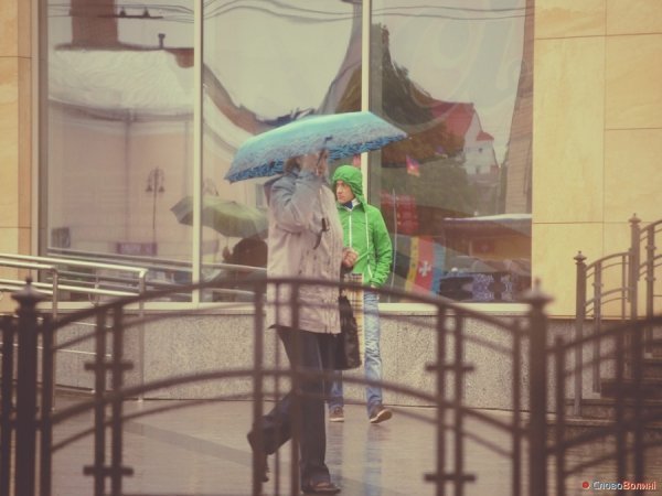 Луцькі парасолі. ФОТО