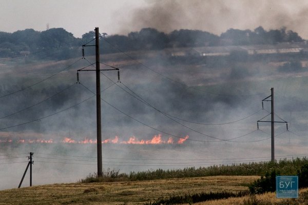 Біля Нововолинська - масштабна пожежа. ФОТО