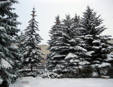 Фото «типового» Ковеля