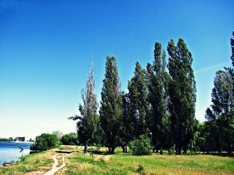 Фото «типового» Ковеля