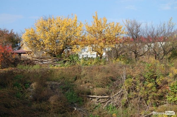 Як у Луцьку зачистили стихійне сміттєзвалище, уникнувши криміналу. ФОТО