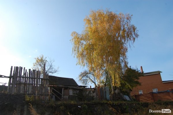 Як у Луцьку зачистили стихійне сміттєзвалище, уникнувши криміналу. ФОТО