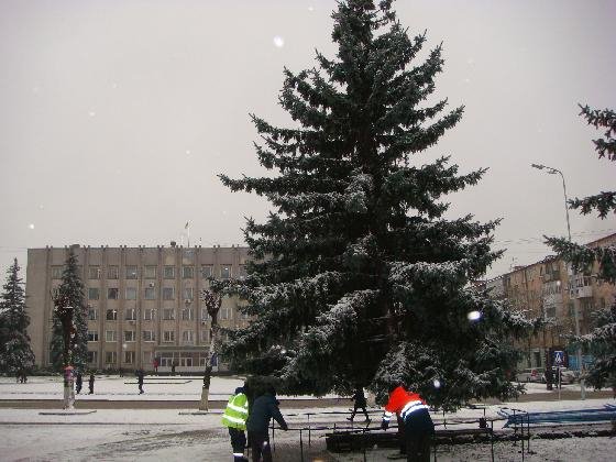 У Ковелі прикрашають головну ялинку міста. ФОТО