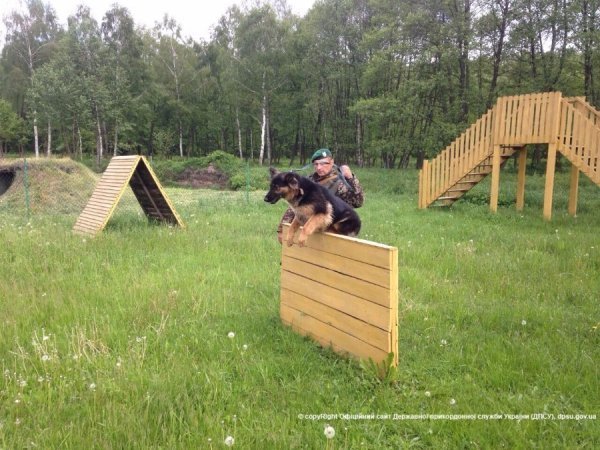 Луцькі школярі завітали в гості до прикордонників. ФОТО