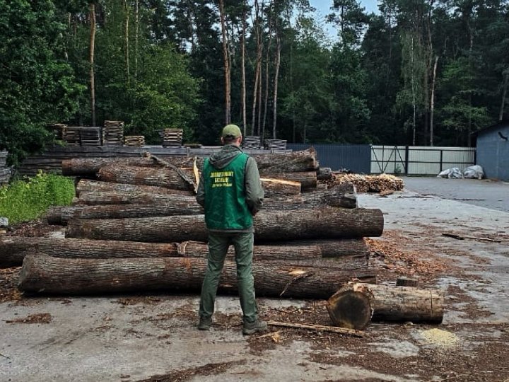 На Волині ліквідували чималу базу «чорних лісорубів»
