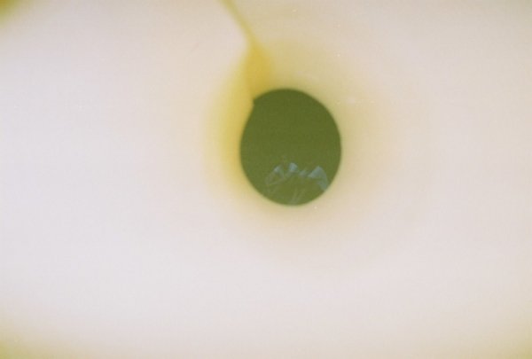 Фотовиставка Ігоря Семенюка