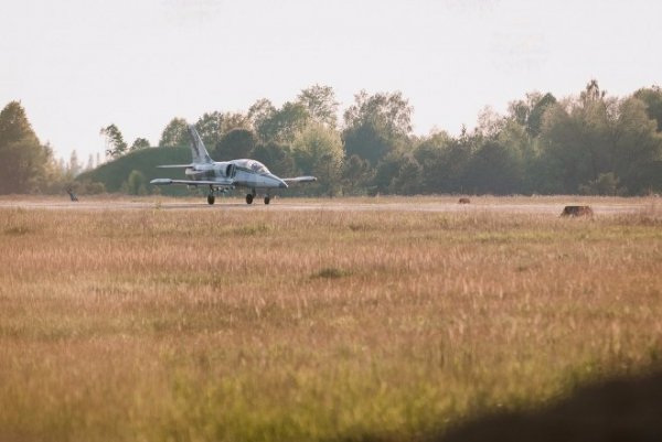 Краса і сила: в мережі з'явились нові фото літаків у небі над Луцьком. ФОТО