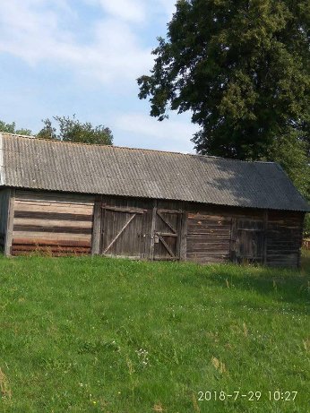 Натрапив на перлинку Полісся, – волинянин про хутір на околицях Світязя