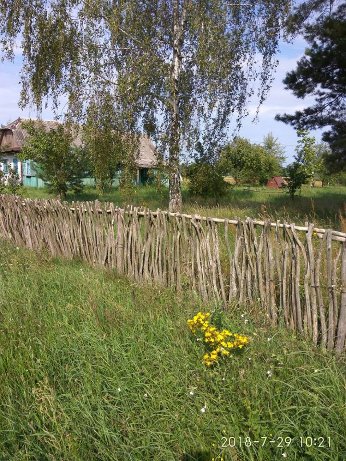 Натрапив на перлинку Полісся, – волинянин про хутір на околицях Світязя