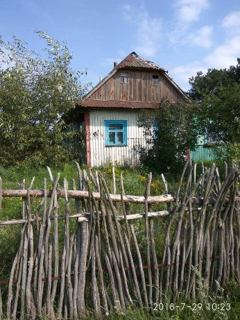 Натрапив на перлинку Полісся, – волинянин про хутір на околицях Світязя