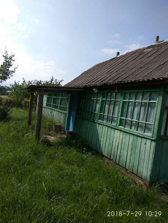 Натрапив на перлинку Полісся, – волинянин про хутір на околицях Світязя