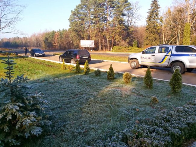 У лісництві на Волині вандали з корінням вирвали і викрали молоді деревця. ФОТО