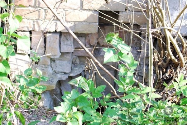 На древньому кладовищі Луцька – непоховані рештки людей. ФОТО