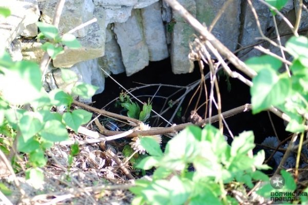 На древньому кладовищі Луцька – непоховані рештки людей. ФОТО