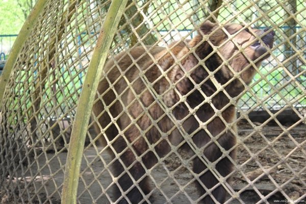 Луцький зоопарк відкрив новий сезон. ФОТО