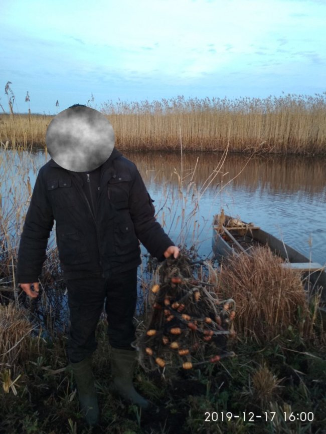 У Шацькому районі браконьєри ловили рибу сітками. ФОТО