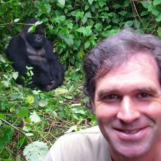 13. Майк Спенсер Боун на фоні горил в Рванді, 2010 рік. Фото: Mike Spencer Bown / SWNS