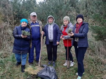 Поблизу Луцька екоактивісти висадили за один день понад тисячу дерев. ФОТО